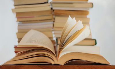 Unsere Geschichte, elisa-calvet-b-S3nUOqDmUvc-unsplash